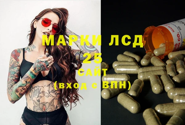 трава Белокуриха