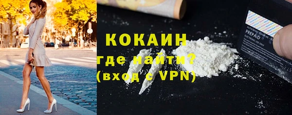 трава Белокуриха
