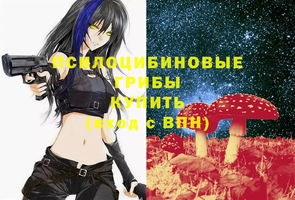 трава Белокуриха